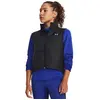 Image de Under Armour Gilet Storm Session