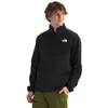 Image de The North Face Sweat à capuche zippé 1/4 pour homme