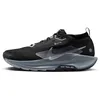 Image de NIKE Pegasus Trail 5 Gore-Tex Baskets Homme 47.5 EU, Black Wolf Grey Cool Grey Anthracite, 47.5 EU
