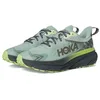 Image de HOKA Homme Challenger 7 GTX Sneaker, Aloe Vera Lettuce, 46 EU