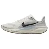Image de Nike Pegasus 41 Chaussures de course pour homme, Sail Anthracite Blue Tint Wolf Grey, 41 EU