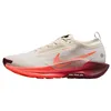 Image de NIKE Pegasus Trail 5 Gore-Tex Baskets Homme 40.5 EU, Sail Hyper Crimson Glacier Blue, 40.5 EU