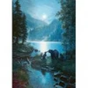 Image de Cobble Hill Nuit des Ours Hill-40008