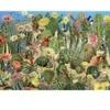Image de Cobble Hill Cactus Garden Hill-40086