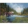 Image de Cobble Hill Moose Lake Hill-40196