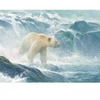 Image de Cobble Hill Pièces XXL - Salmon Watch - Spirit Bear Hill-45026