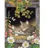 Image de Cobble Hill Soeurs Hill-45041