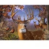 Image de Cobble Hill Pièces XXL - Deer and Pheasant Hill-45055