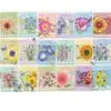 Image de Cobble Hill Sachets de Graines Hill-45080