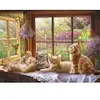 Image de Cobble Hill Rayon de Soleil Hill-45082