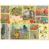 Image de Cobble Hill Oiseaux de Jardin en Automne Hill-45103