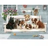 Image de Cobble Hill Pièces XXL - Family - Porch Pals Hill-47006