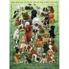 Image de Cobble Hill Family - Chiots Hill-47007