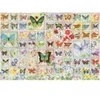 Image de Cobble Hill Papillons et Fleurs Hill-49011
