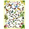 Image de Eurographics Papillons 6000-0077