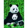 Image de Eurographics La Famille Panda 6000-0173
