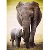 Image de Eurographics L'éléphant et l'éléphanteau 6000-0270