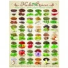 Image de Eurographics Herbes et Épices 6000-0598