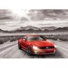 Image de Eurographics 2015 Ford Mustang GT Fifty Years of Power 6000-0702