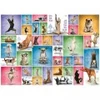 Image de Eurographics Yoga Dogs 6000-0954