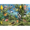 Image de Eurographics Joahn Francis - Garden Birds 6000-0967
