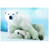 Image de Eurographics Ours Polaire et son ourson 6000-1198