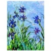 Image de Eurographics Claude Monet : Iris (détail) 6000-2034