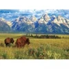 Image de Eurographics Parc National Grand Teton 6000-5474