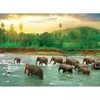 Image de Eurographics Save our Planet Collection - Forêt Tropicale 6000-5540