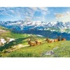 Image de Eurographics Les Élans à la Montagne 6000-5705