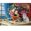 Image de Eurographics Chats Curieux 6000-5914