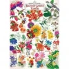 Image de Master Pieces Farmer's Almanac - Fleurs Du Jardin Pieces-72195