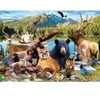 Image de Master Pieces National Parks - Rocky Mountain Pieces-82219