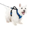 Image de PetSafe - Harnais pour Chien EasySport avec Poignée de Contrôle, Réfléchissant, Ajustable Confortable, Rembourré   Bleu, S