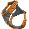 Image de Kurgo Journey Air Harnais Orange M
