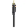 Image de Câble RCA BELKIN coaxiale RCA M/M 1M Noir F3Y096bf1M