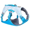 Image de Ruffwear Swamp Cooler Harnais Biolumin Blue XXS