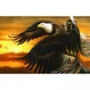 Image de SunsOut La Fille de l'Aigle 21743