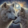 Image de SunsOut Moonlight Mates 21821