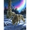 Image de SunsOut Loups sous l'Aurore 28397