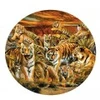 Image de SunsOut Pièces XXL - Lori Schory - Tigres partout 35124