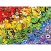 Image de SunsOut Arc-en-Ciel de Papillons 35184