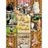 Image de SunsOut Une Vie Parfaite grâce aux Chats 35215