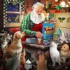 Image de SunsOut Pièces XXL - Le Père Noël et ses Animaux 42373