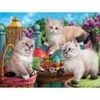 Image de SunsOut Kitten Tea Party 42909