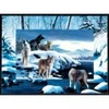 Image de SunsOut Kevin Daniel - Ice Wolves 55763