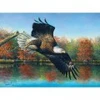 Image de SunsOut Abraham Hunter - Wetlands Eagle 69607
