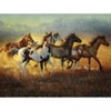 Image de SunsOut Cynthia Fisher - Running with the Wind 70936