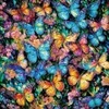 Image de SunsOut Pièces XXL - Vitrail Papillons 71315