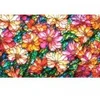 Image de SunsOut Jardin De Fleurs 71359